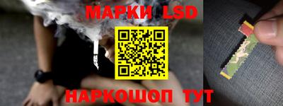 стаф Малгобек