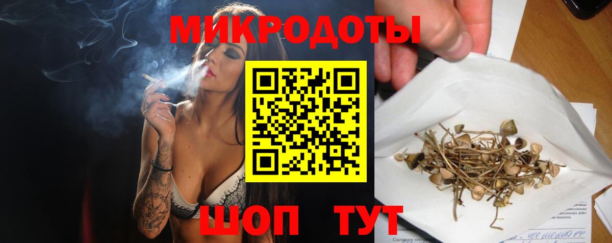 Зеленокумск  Псилоцибиновые грибы Psilocybe  Вход с VPN 